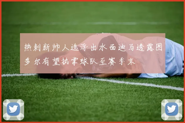 热刺新帅人选浮出水面迪马透露图多尔有望执掌球队至赛季末