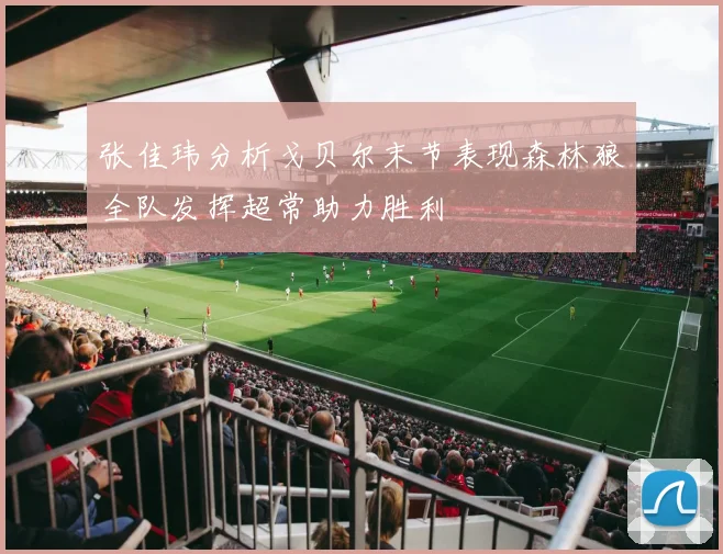 张佳玮分析戈贝尔末节表现森林狼全队发挥超常助力胜利